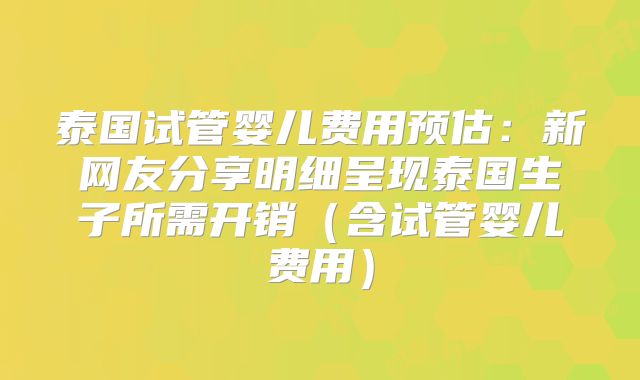 泰国试管婴儿费用预估：新网友分享明细呈现泰国生子所需开销（含试管婴儿费用）