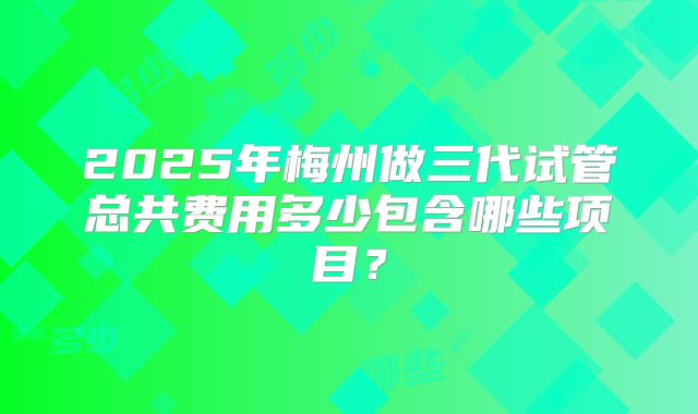 2025年梅州做三代试管总共费用多少包含哪些项目？
