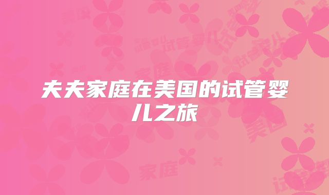 夫夫家庭在美国的试管婴儿之旅