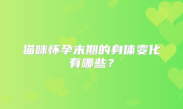 猫咪怀孕末期的身体变化有哪些?