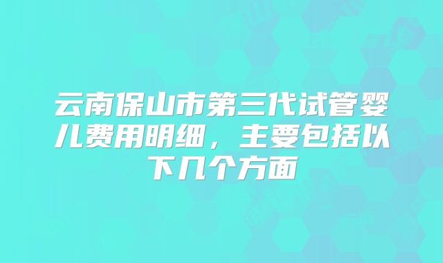云南保山市第三代试管婴儿费用明细,主要包括以下几个方面