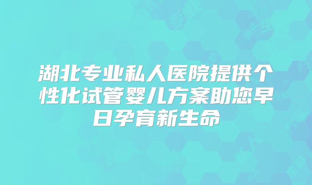 湖北专业私人医院提供个性化试管婴儿方案助您早日孕育新生命