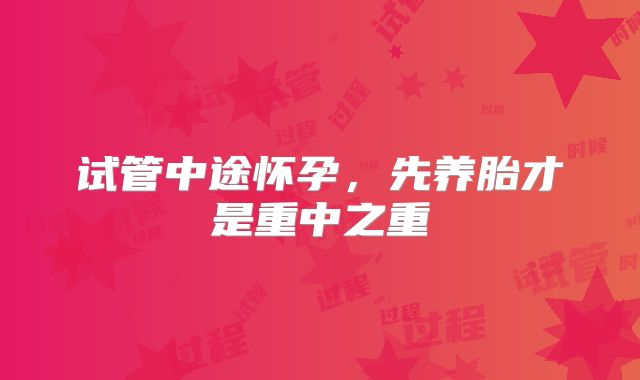 试管中途怀孕，先养胎才是重中之重