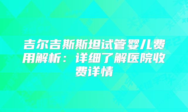 吉尔吉斯斯坦试管婴儿费用解析：详细了解医院收费详情