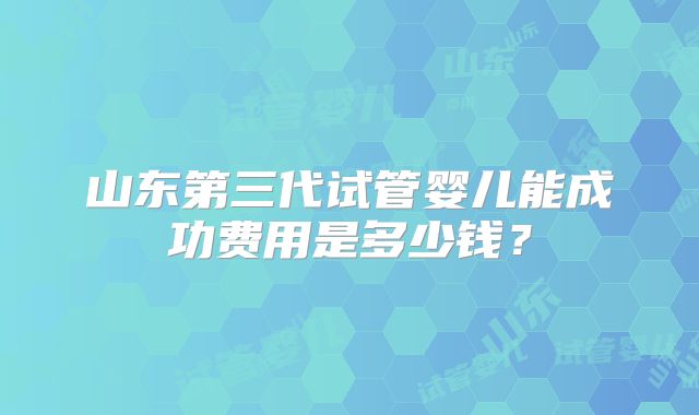 山东第三代试管婴儿能成功费用是多少钱?