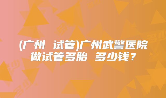 (广州 试管)广州武警医院做试管多胎 多少钱？