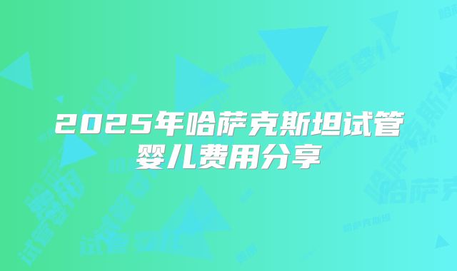 2025年哈萨克斯坦试管婴儿费用分享