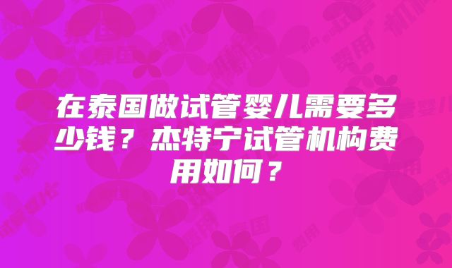 在泰国做试管婴儿需要多少钱?杰特宁试管机构费用如何?