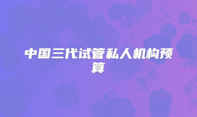 中国三代试管私人机构预算