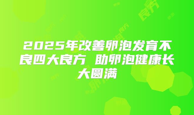 2025年改善卵泡发育不良四大良方 助卵泡健康长大圆满