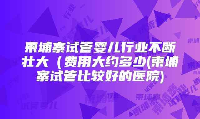 柬埔寨试管婴儿行业不断壮大（费用大约多少(柬埔寨试管比较好的医院)