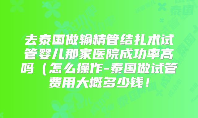 去泰国做输精管结扎术试管婴儿那家医院成功率高吗（怎么操作-泰国做试管费用大概多少钱！