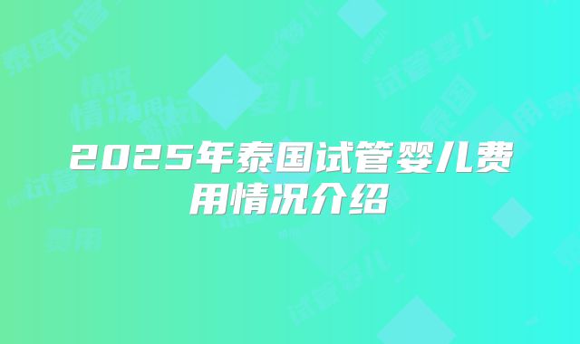 2025年泰国试管婴儿费用情况介绍