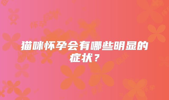 猫咪怀孕会有哪些明显的症状？