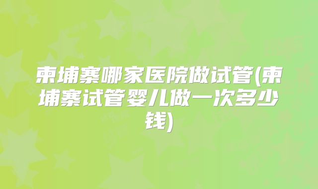 柬埔寨哪家医院做试管(柬埔寨试管婴儿做一次多少钱)