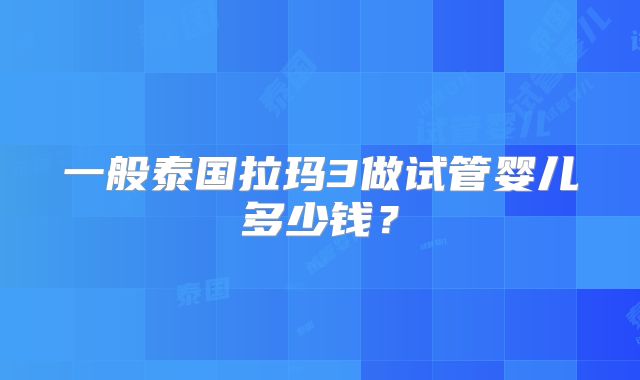 一般泰国拉玛3做试管婴儿多少钱？