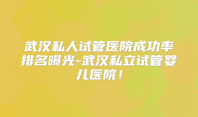 武汉私人试管医院成功率排名曝光-武汉私立试管婴儿医院！