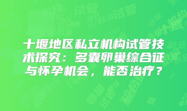 十堰地区私立机构试管技术探究:多囊卵巢综合征与怀孕机会,能否治疗?