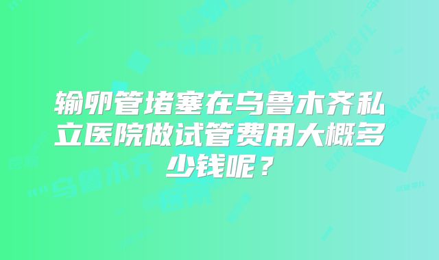 输卵管堵塞在乌鲁木齐私立医院做试管费用大概多少钱呢？