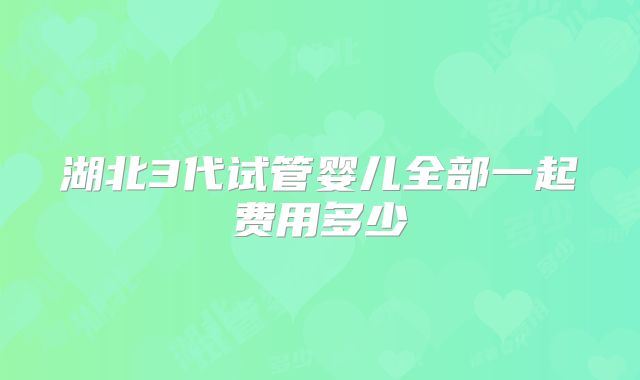 湖北3代试管婴儿全部一起费用多少