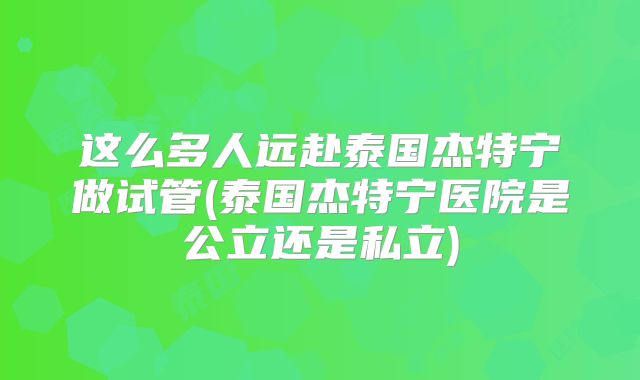 这么多人远赴泰国杰特宁做试管(泰国杰特宁医院是公立还是私立)
