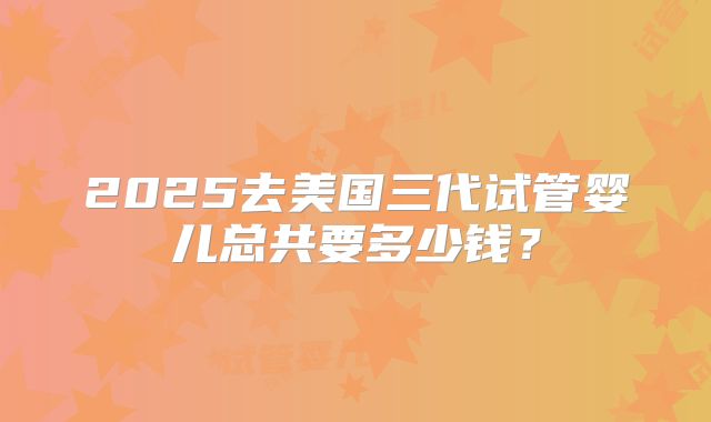 2025去美国三代试管婴儿总共要多少钱？