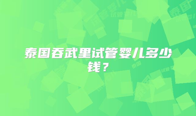 泰国吞武里试管婴儿多少钱？