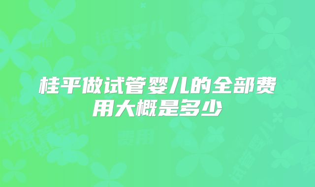 桂平做试管婴儿的全部费用大概是多少