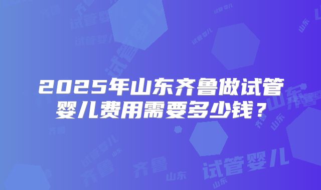 2025年山东齐鲁做试管婴儿费用需要多少钱？
