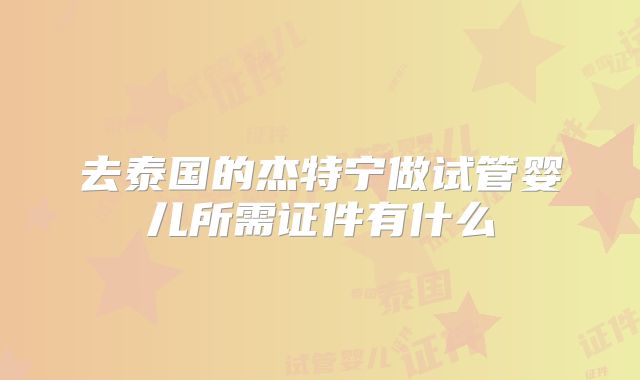 去泰国的杰特宁做试管婴儿所需证件有什么