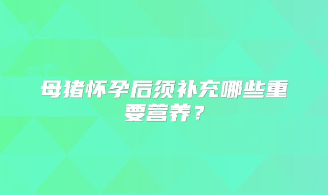 母猪怀孕后须补充哪些重要营养?