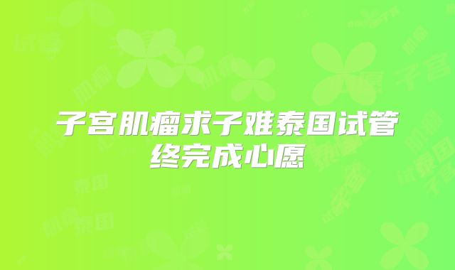 子宫肌瘤求子难泰国试管终完成心愿