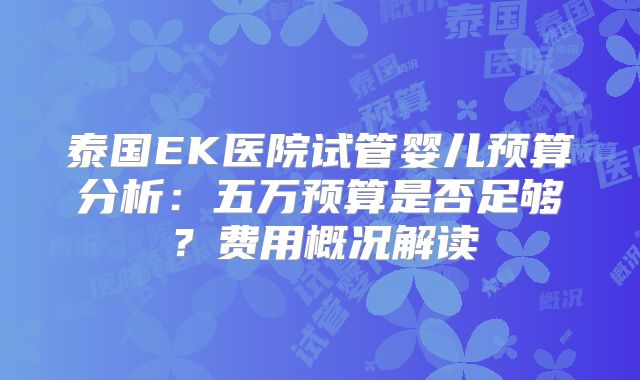 泰国EK医院试管婴儿预算分析：五万预算是否足够？费用概况解读