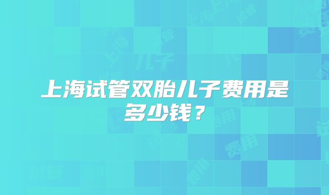 上海试管双胎儿子费用是多少钱？