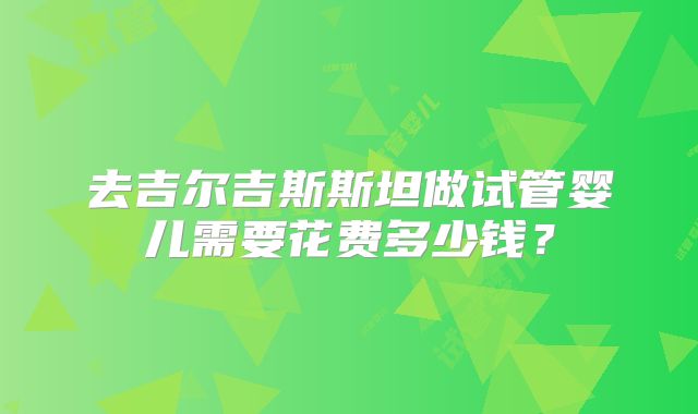 去吉尔吉斯斯坦做试管婴儿需要花费多少钱?