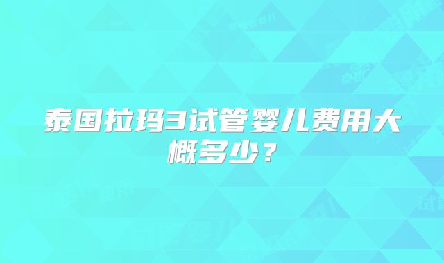 泰国拉玛3试管婴儿费用大概多少？