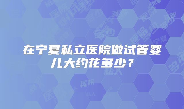 在宁夏私立医院做试管婴儿大约花多少？