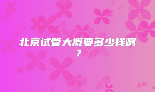 北京试管大概要多少钱啊？