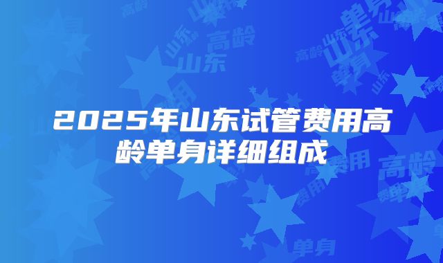2025年山东试管费用高龄单身详细组成