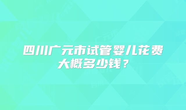 四川广元市试管婴儿花费大概多少钱？