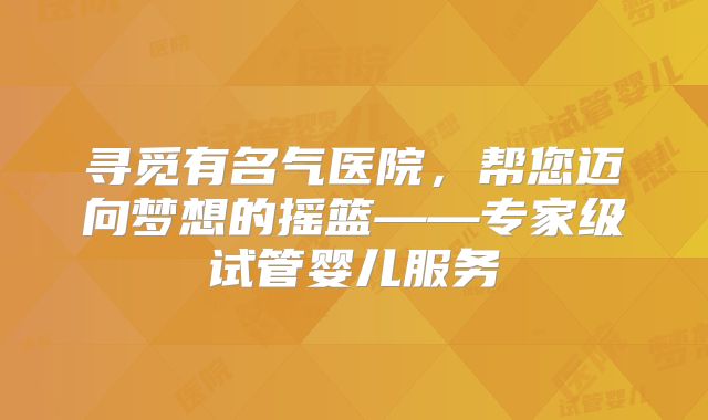 寻觅有名气医院，帮您迈向梦想的摇篮——专家级试管婴儿服务