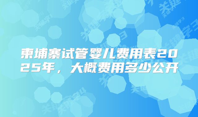 柬埔寨试管婴儿费用表2025年,大概费用多少公开