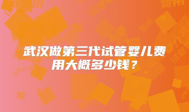 武汉做第三代试管婴儿费用大概多少钱?