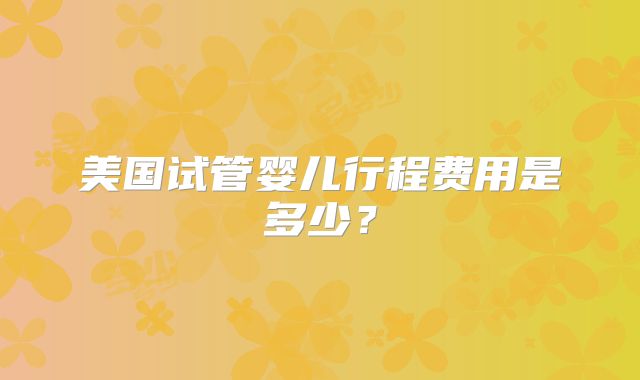美国试管婴儿行程费用是多少？