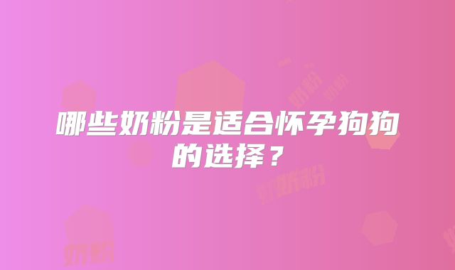 哪些奶粉是适合怀孕狗狗的选择?