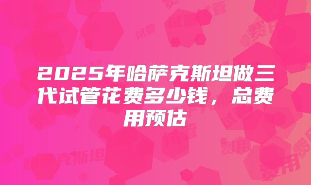 2025年哈萨克斯坦做三代试管花费多少钱，总费用预估