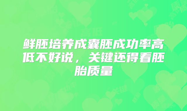 鲜胚培养成囊胚成功率高低不好说，关键还得看胚胎质量