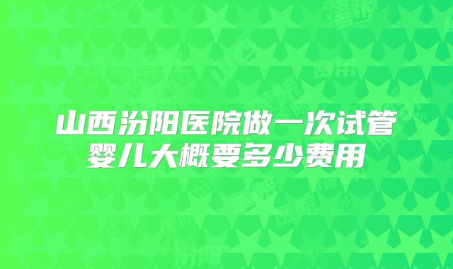 山西汾阳医院做一次试管婴儿大概要多少费用