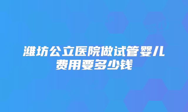 潍坊公立医院做试管婴儿费用要多少钱