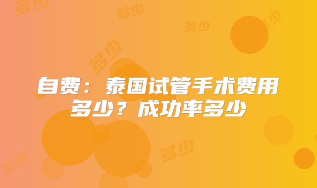 自费：泰国试管手术费用多少？成功率多少